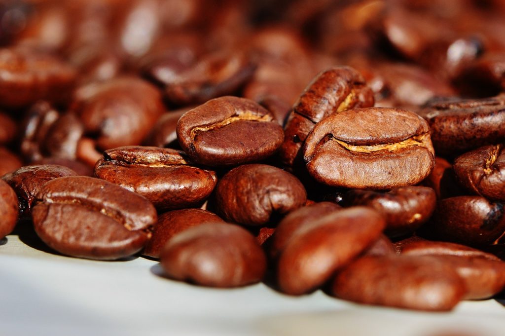 arabica